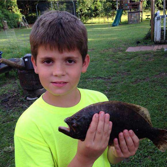 Meet your Posher, Christopher - Picture 1 of 1